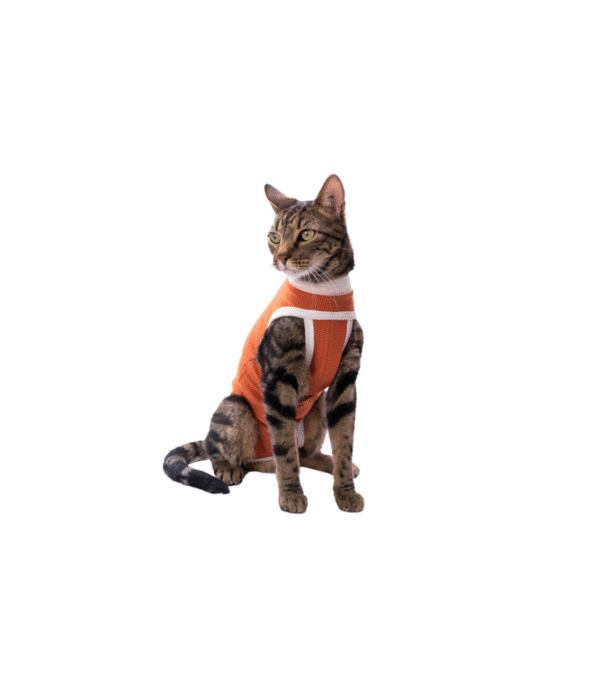 BODY GATO Body de Cobre Para Perros y Gatos.