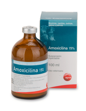 Amoxicilina 15%