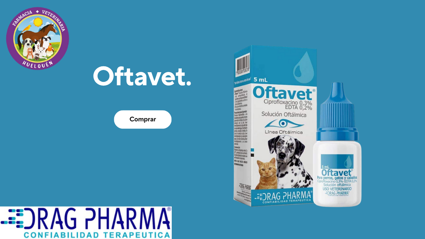 Hematon B12 ELIXIR (1)