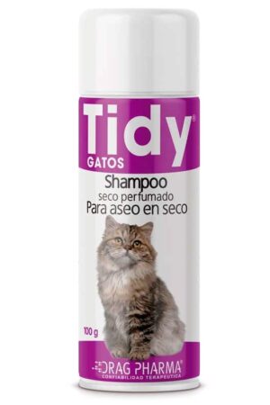 Tidy Gato