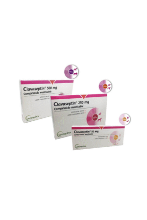 Clavaseptin 250mg - 500mg