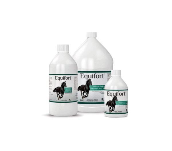 equifort Equifort Jarabe 500mL - 1Lt