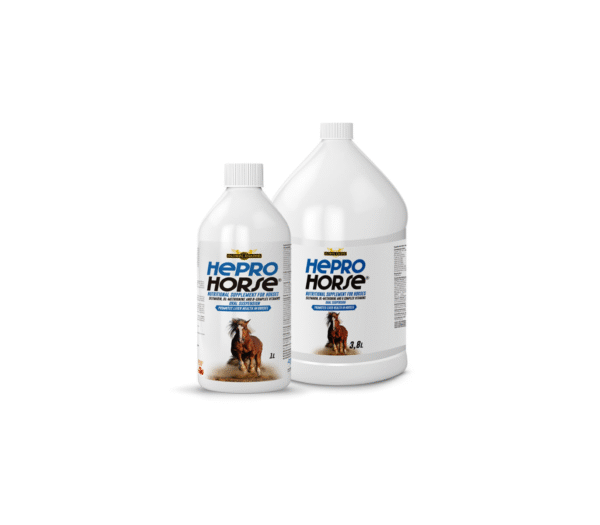 hepro hor Hepro Horse 1Lt