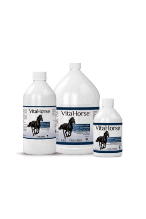 Vita Horse 500ML