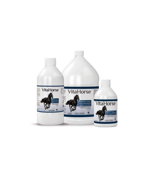 Vita Horse 500ML
